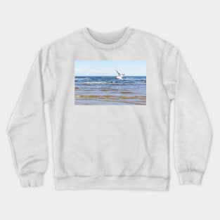 White seagull flying above the water to the left with its wings open Crewneck Sweatshirt